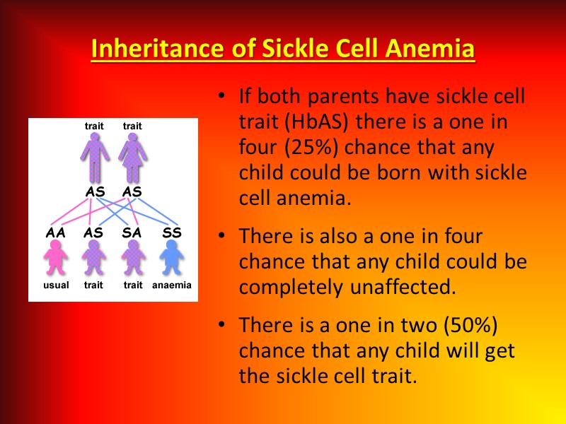 Inheritance of Sickle Cell Anemia If both parents have sickle cell trait (HbAS) there